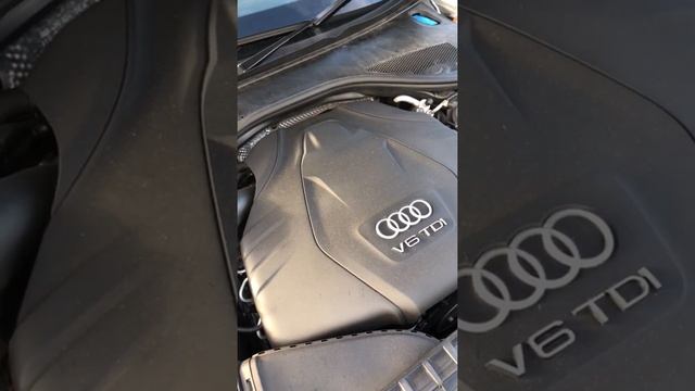 Timing Chain Tensioner Engine noise Audi A6 C7 3.0 Tdi Napinacz łańcucha rozrządu kettenspanner