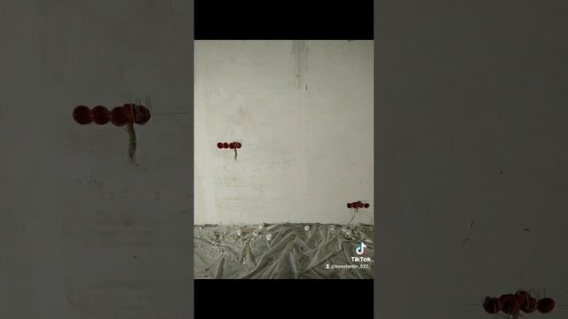 Выполнен монтаж подрозетников (г. Брянск, ул. Вяземского) смотреть онлайн