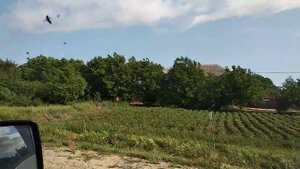 Станица Варениковская. Переезд в Краснодарский край.