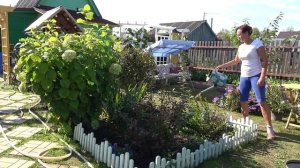 6 соток 20 сентября 2023 года. Хроника.