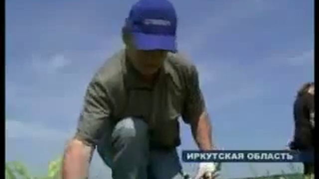 Клад найден на слёте кладоискателей в Иркутске. kladoiskatel.net