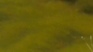 Очки для рыбалки