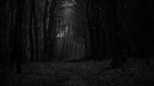 страшные истории - ЧЕМ ДАЛЬШЕ В ЛЕС...  ужасы  мистика (16+) перезолив с ютуба