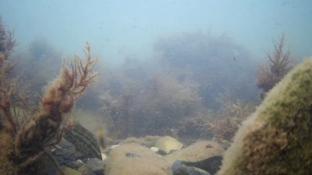 Прибрежная болтанка. Сентябрь. смотреть онлайн