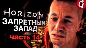 ТЕНЬ НА ЗАПАДЕ ➤ Horizon Forbidden West ➤ Прохождение #14 ➤ PS5