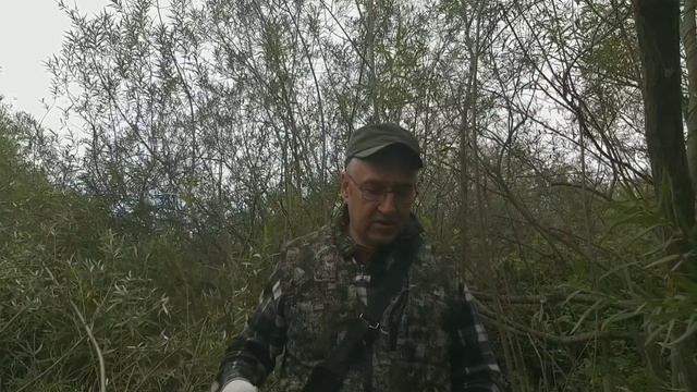 Очередные заготовки ивняка. смотреть онлайн