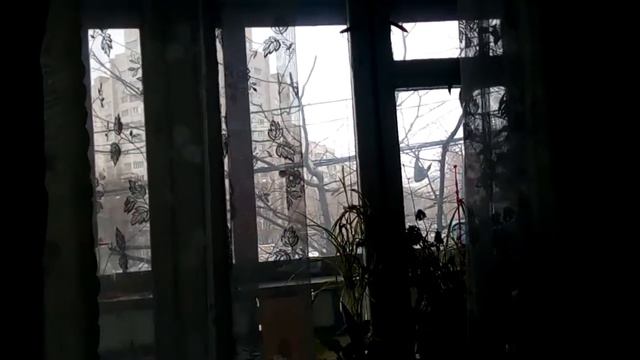 Елена Мисевич. Я скучаю, я люблю... смотреть онлайн