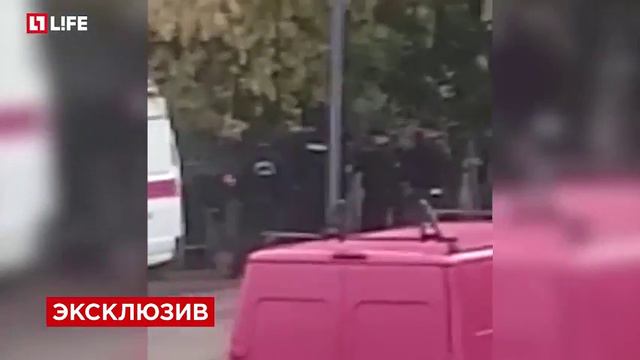 Оставили без присмотра. Лев разгуливал по улице. ВИДЕО смотреть онлайн