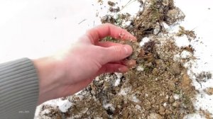 Катушка для Minelab X-Terra от MDRegion