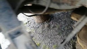 Мазда 626 хетчбек снятие задний подвески