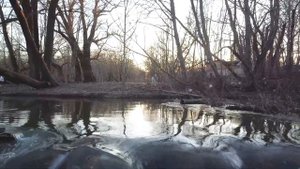 д. Горбунки (Ленинградская область)