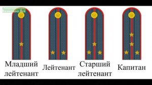 Погоны и Звания Полиции России (МВД РФ) по порядку возрастания со звездами по старшинству