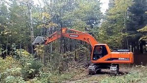 Валка деревьев экскаватором