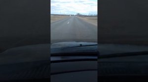 Как девушки разводят парней на деньги