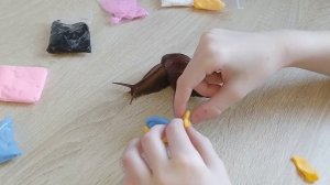 Лепка из воздушного пластилина. Лепим улитку с ахатином.