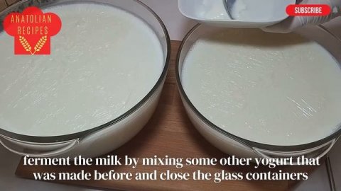 ?HOW TO MAKE YOGURT AT HOME?Probiotic Homemade Yogurt‼️Yogurt Recipe?Turkish Yogurt