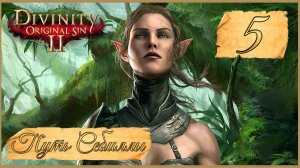 Divinity: Original Sin II ★ 5: Конфликт с Гриффом