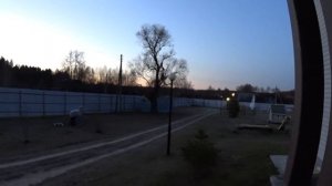 ВЫЕЗД В ЛЕС.ВЛАДИМИРСКАЯ ОБЛАСТЬ.ЖЕЛЕЗО.