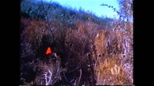 Ходячие мертвецы / Deathwalkers 1989  / Варус Видео / VHS