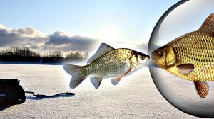 Идеальная ПОГОДА для ловли КАРаСЯ ЗИМОЙ какая она? В какую погоду клюет карась зимой?