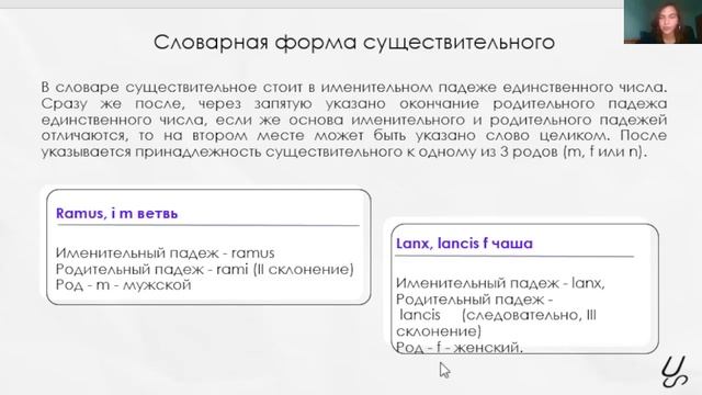Существительное в латинском языке