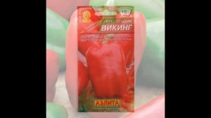 Обзор сорта сладкого перца "Викинг" (характеристики, свойства, фото)