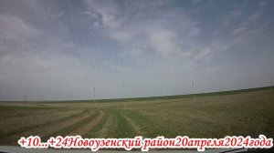 Дорога до тюльпанной степи Новоузенского района 20 апреля 2024 года