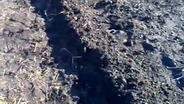 Укрытие на зиму малины на юге Украины смотреть онлайн