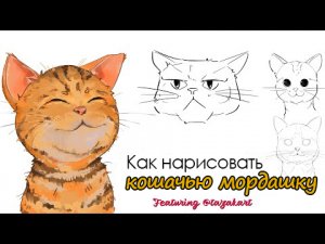 Пошаговый мастер-класс по рисованию кошачьей мордашки с помощью XPPen