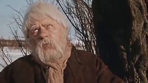 Ой нема нема правдоньки