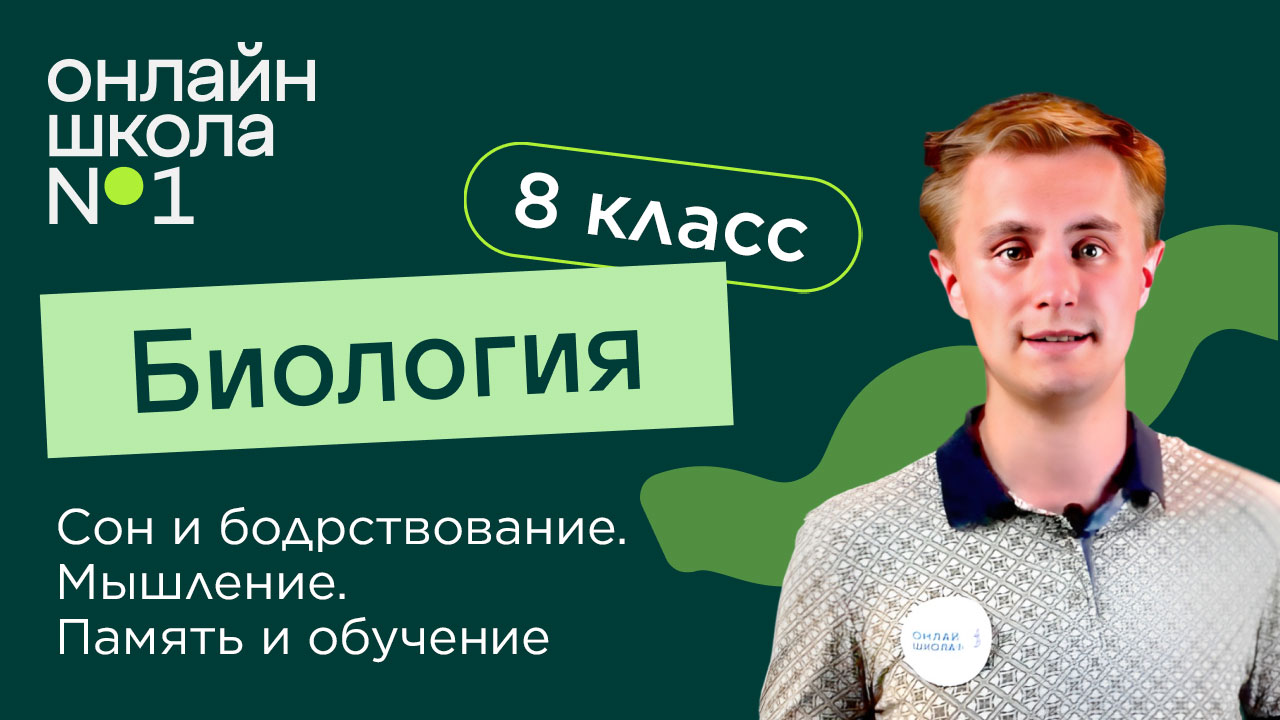 Сон и бодрствование. Мышление. Память и обучение. Видеоурок 30. Биология 8 класс