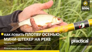 Как ловить ПЛОТВУ ОСЕНЬЮ. Мини-штекер и маховая на реке. Часть 2. А. Евмененко. Anglers Practical