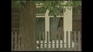 Письма из провинции