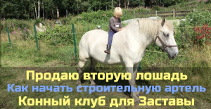 Продаю вторую лошадь / Как начать строительную артель / Конный клуб для Заставы