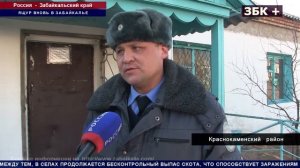 ВСПЫШКА ЯЩУРА ЗАРЕГИСТРИРОВАНА В СЕЛЕ КАЙЛАСТУЙ, КРАСНОКАМЕНСКОГО РАЙОНА