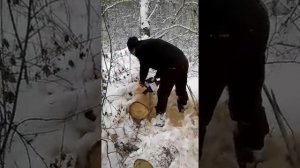 Бензопила из Леруа Мерлен.Sterwins PCS 41-2r