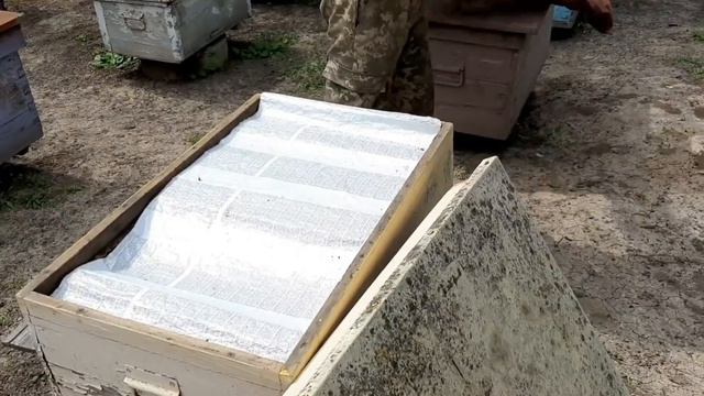 И снова о текущей работе на пасеке. 17.05.19 смотреть онлайн