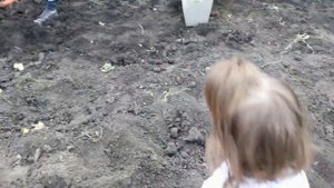 4 июля копаем раннюю картошку сорта Метеор,Удача и Галла!