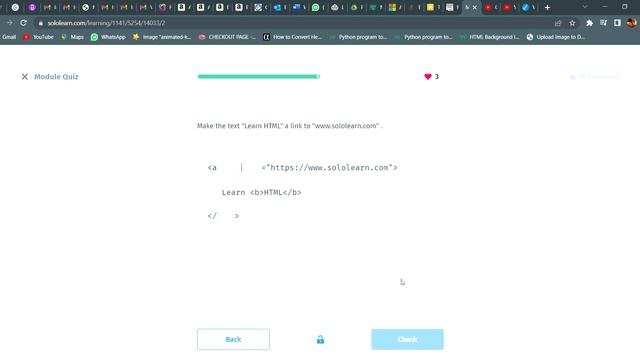 Module Quiz|6.1| Getting Started |Web Development Fundamentals | SOLOLEARN Answers