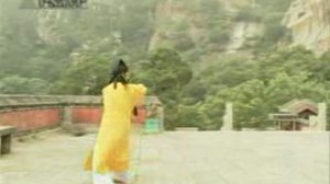 ВУДАН БАГУА