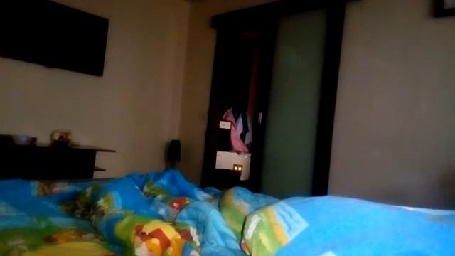 Мой кот бесится 😱 смотреть онлайн