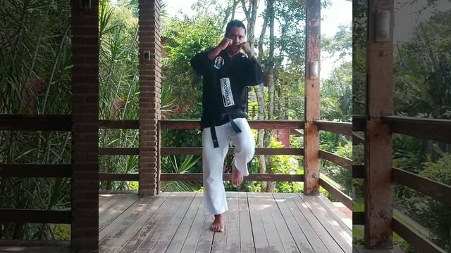 Técnica de Chute com Professor Jefinho Pacheco #3 смотреть онлайн