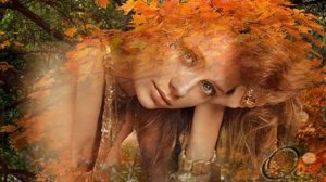 Владимир Харламов - Листья падают