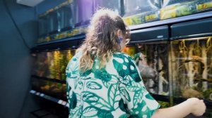 ЗМЕИ, ХАМЕЛЕОНЫ, ЯЩЕРИЦЫ! ЖЕСТЬ КАКОЙ ОГРОМНЫЙ ОБЗОР МАГАЗИНА ЭКЗОТИКИ