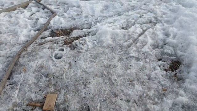 Скважина в Коломне за 2 дня. Пойма р. Мосва. Проходим с бентонитом. смотреть онлайн