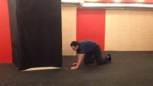 Наблюдение за животными. Медведь