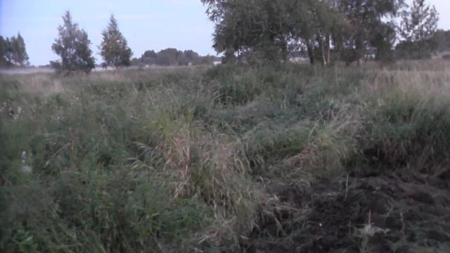 Выезд в Тверь.Шурф старых фундаментов.В гостях у Алешиной ч.2. смотреть онлайн