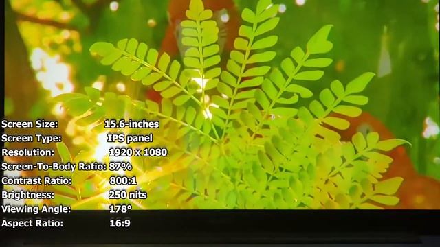 Huawei Matebook D15 - A Layman's Review (Comprehensive) смотреть онлайн