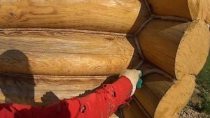 Джут сыпется через 2 года.Конопатку красить НАДО!!!