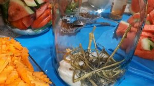 Маринованные Арбузы на зиму ?? Это очень Вкусно